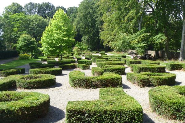 Haies et arbustes taillés dans un jardin
